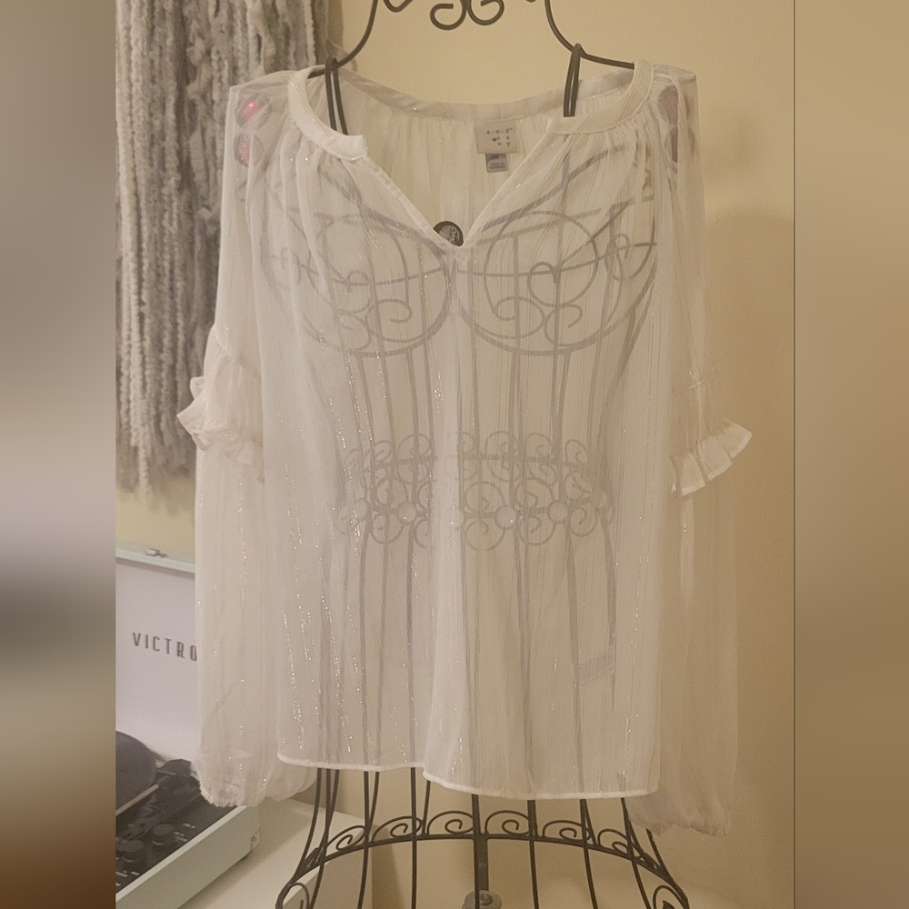 Sheer Blouse